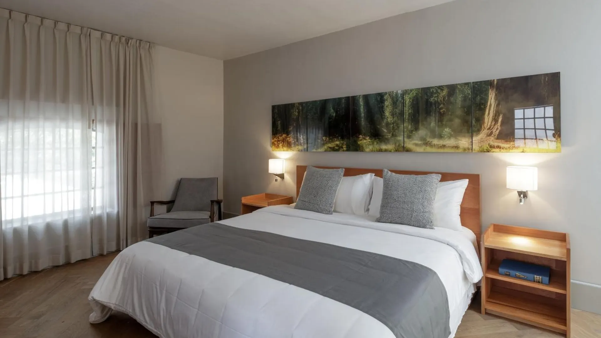 Hotel Casa Bosque Eduviges Guadalajara