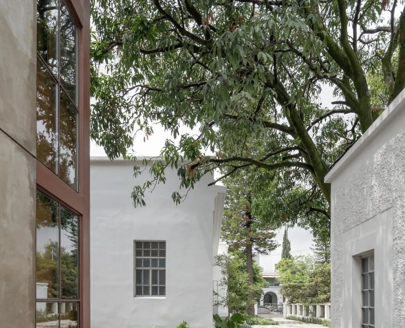 Hotel Casa Bosque Eduviges Guadalajara