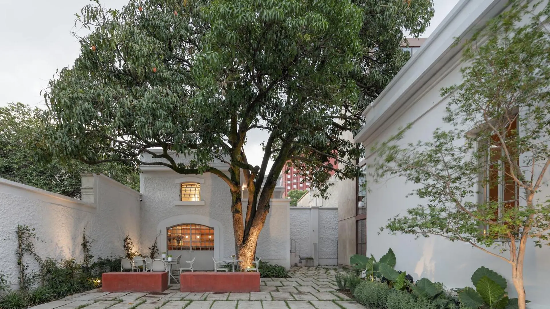 Casa Bosque Eduviges Hotel Guadalajara