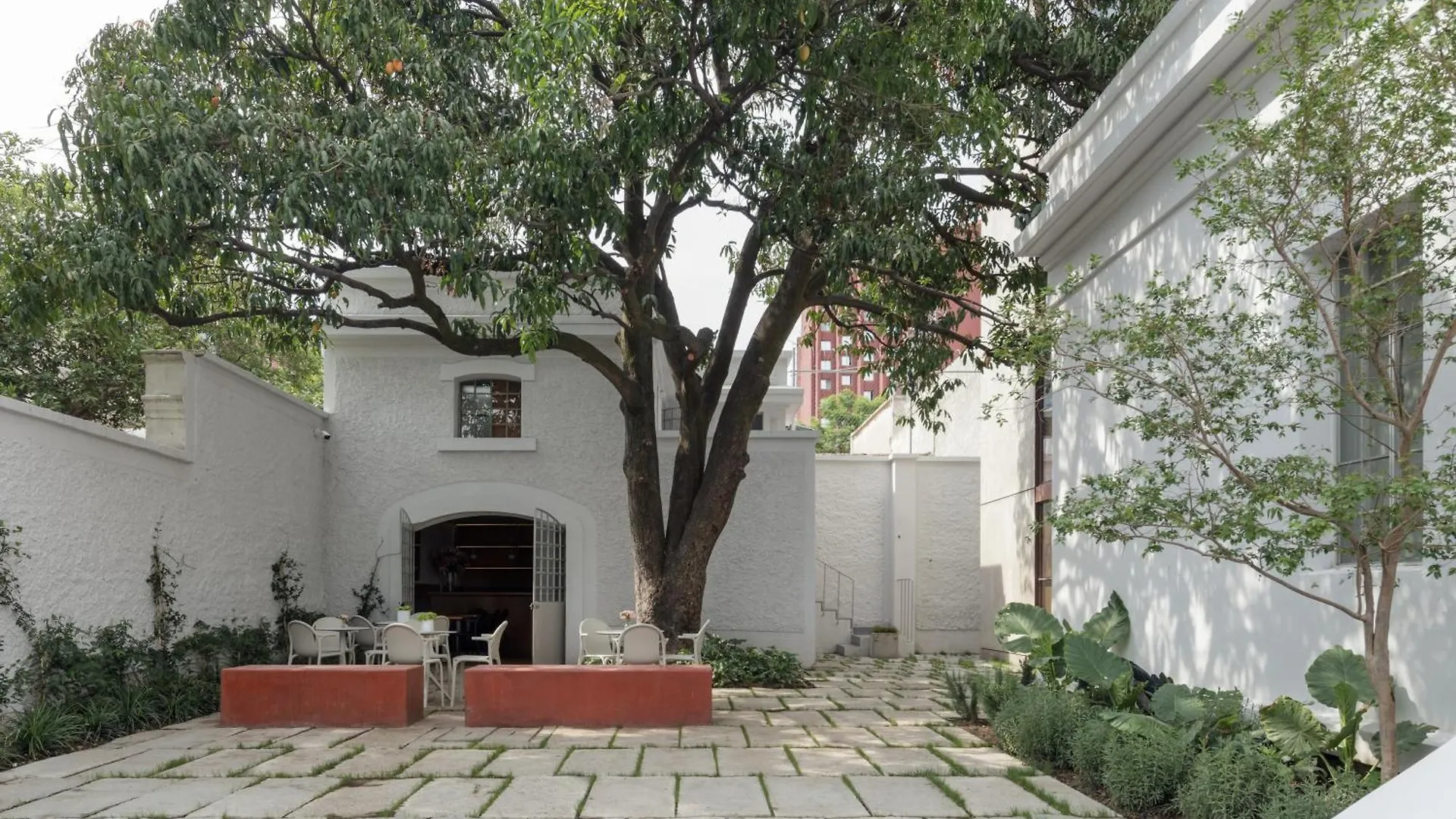 Casa Bosque Eduviges Hotel Guadalajara
