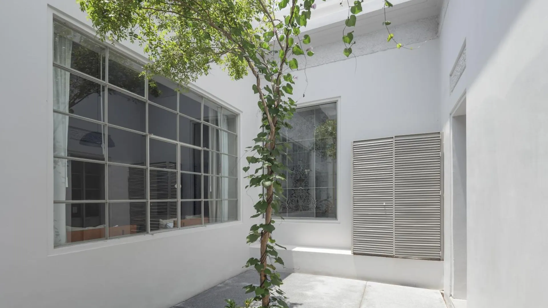 Casa Bosque Eduviges Hotel Guadalajara